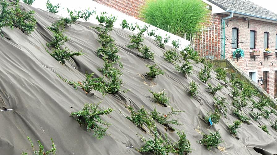 03-02_geotekstil-halo-lejtore3_895x500