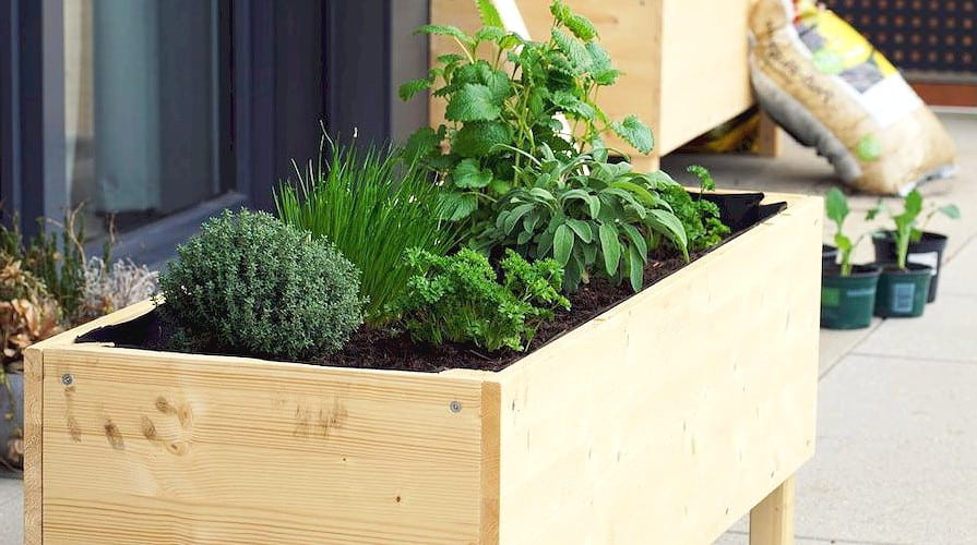 05-03_geotekstil-magas-novenyekhez_895x500